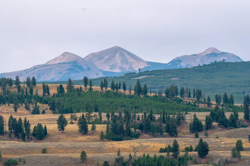 Northern Range