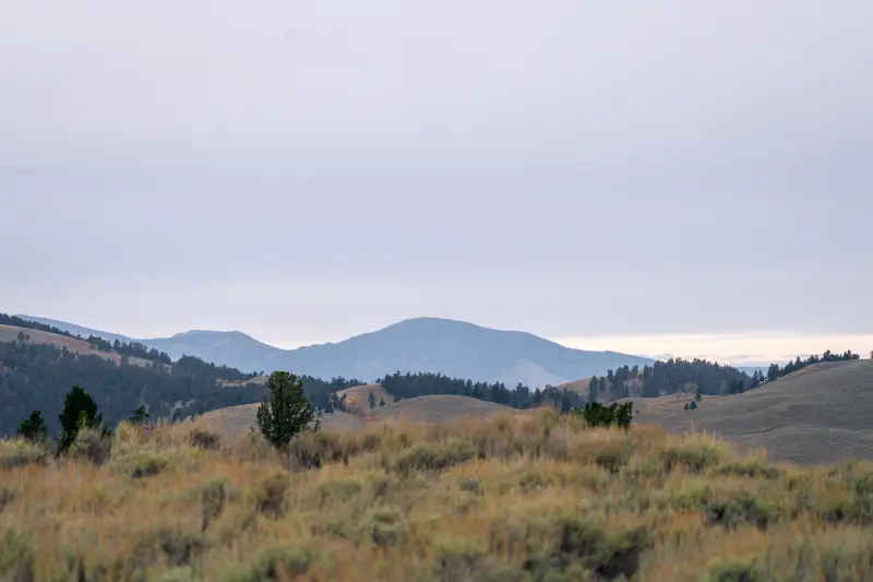 Northern Range