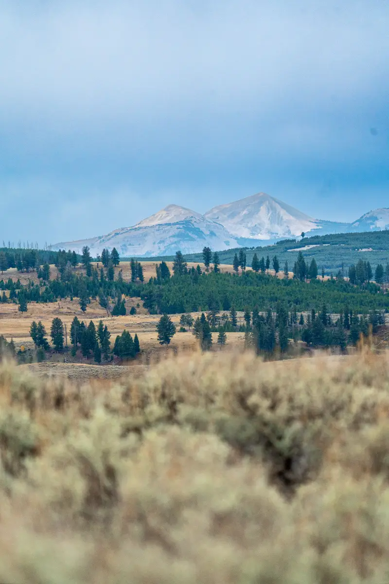Northern Range