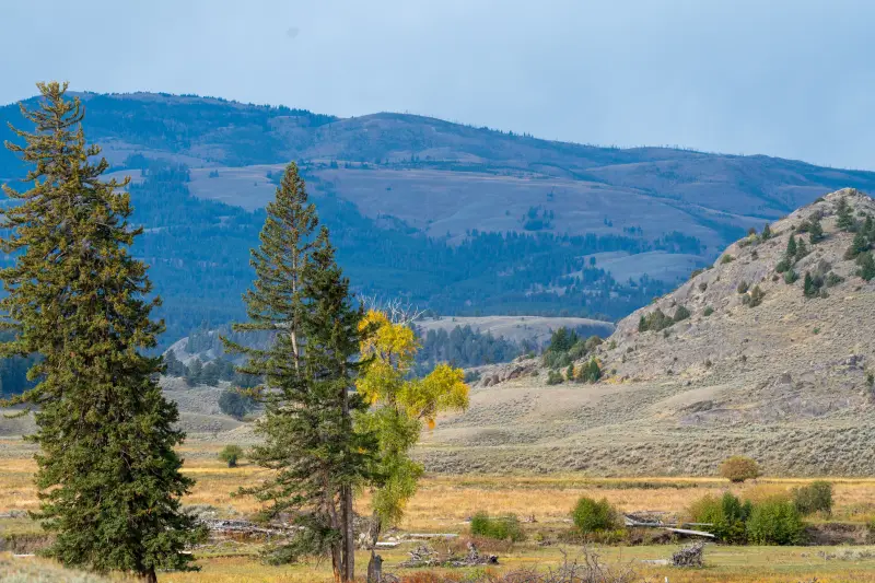 Northern Range