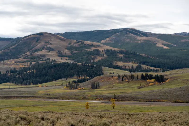 Northern Range