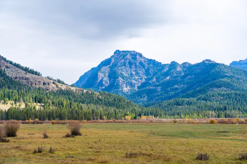 Northern Range