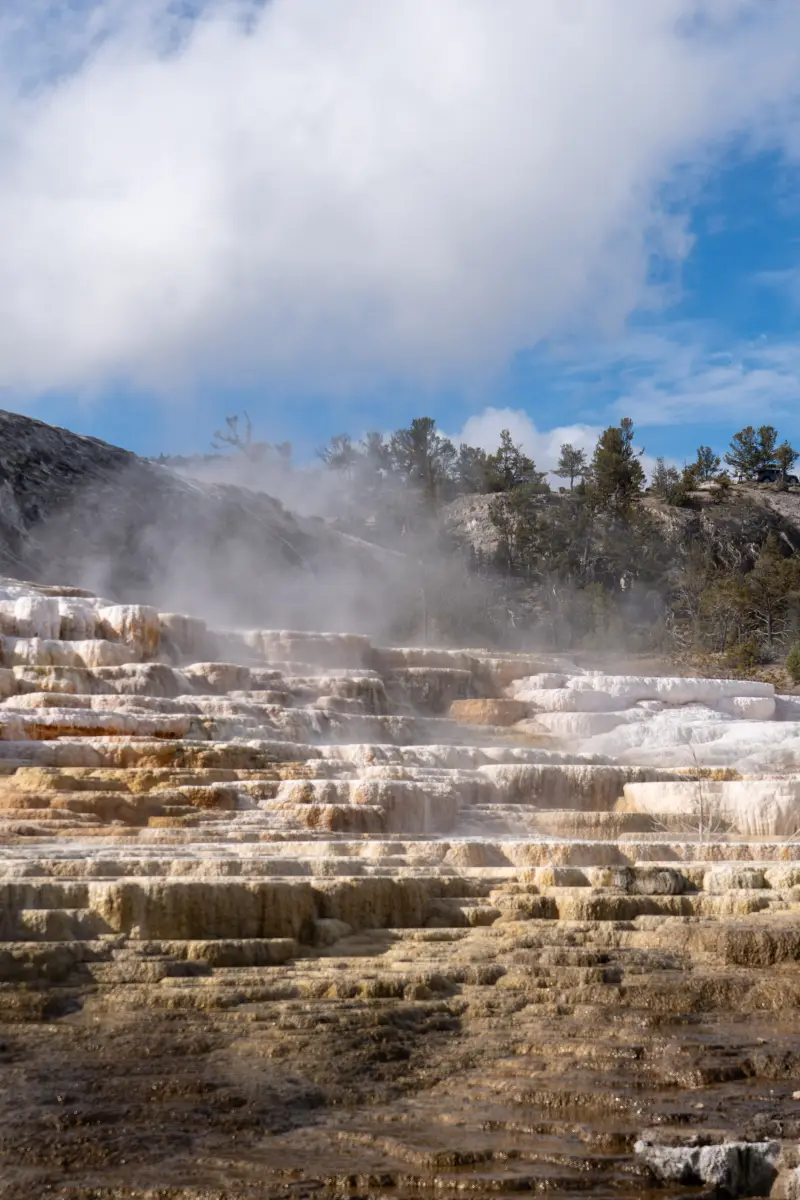 Mammoth Hot Springs