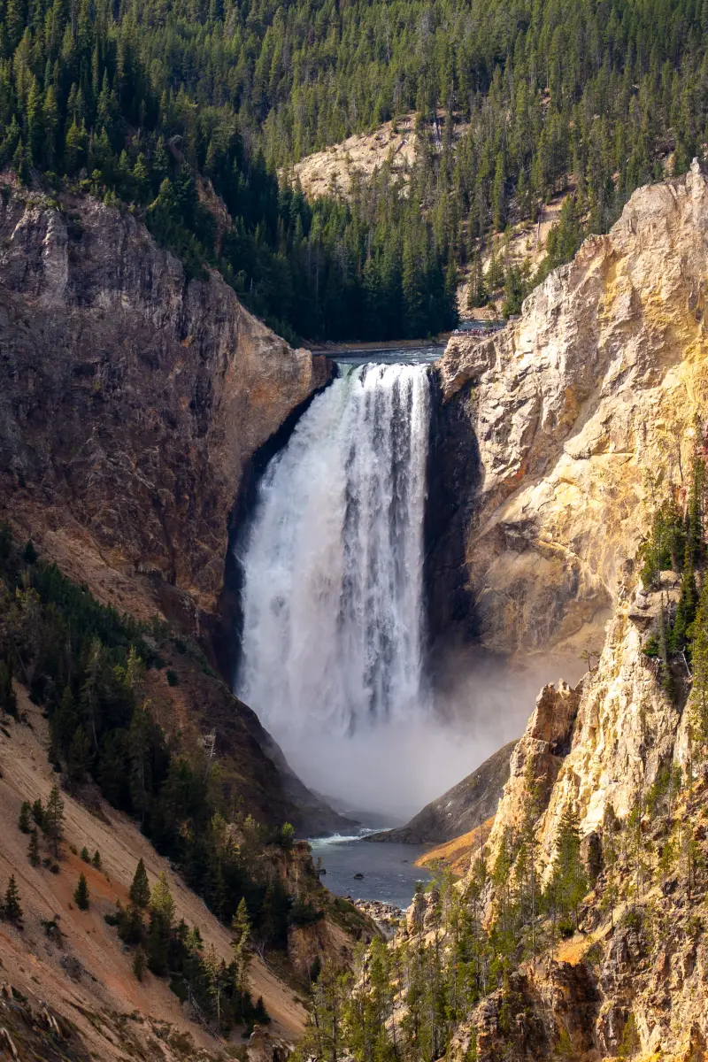 Lower Yellowstone Falls