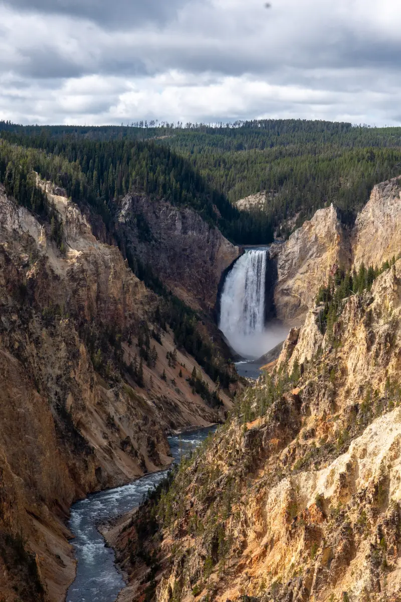 Lower Yellowstone Falls