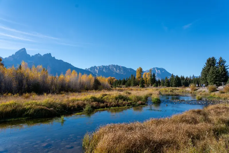 The Snake River at Schwabacher Landing