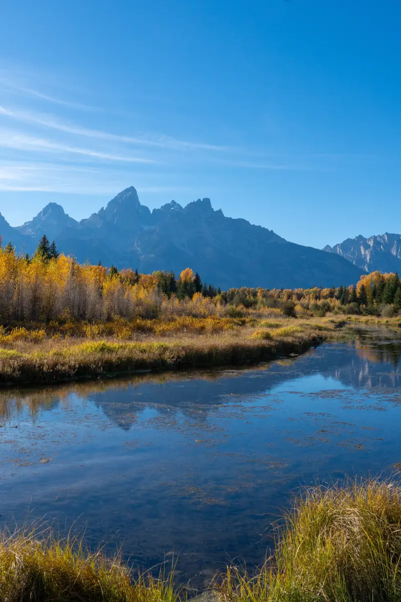 The Snake River at Schwabacher Landing