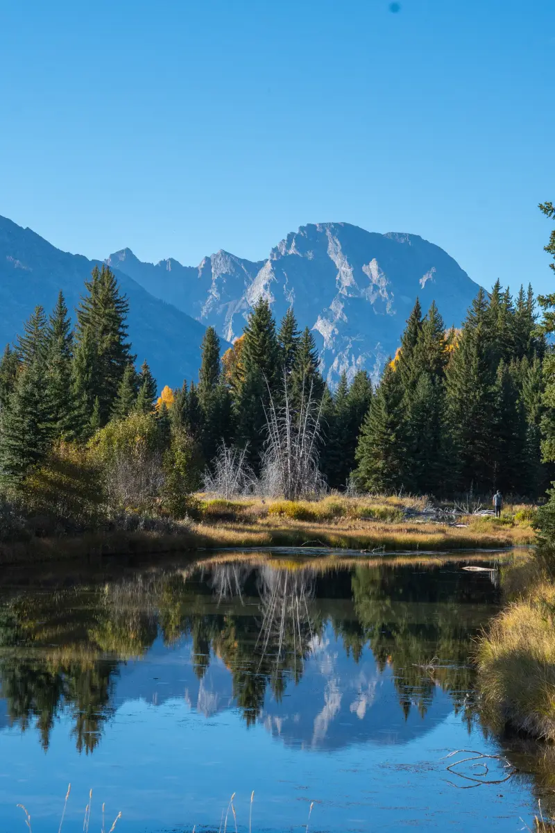 The Snake River at Schwabacher Landing
