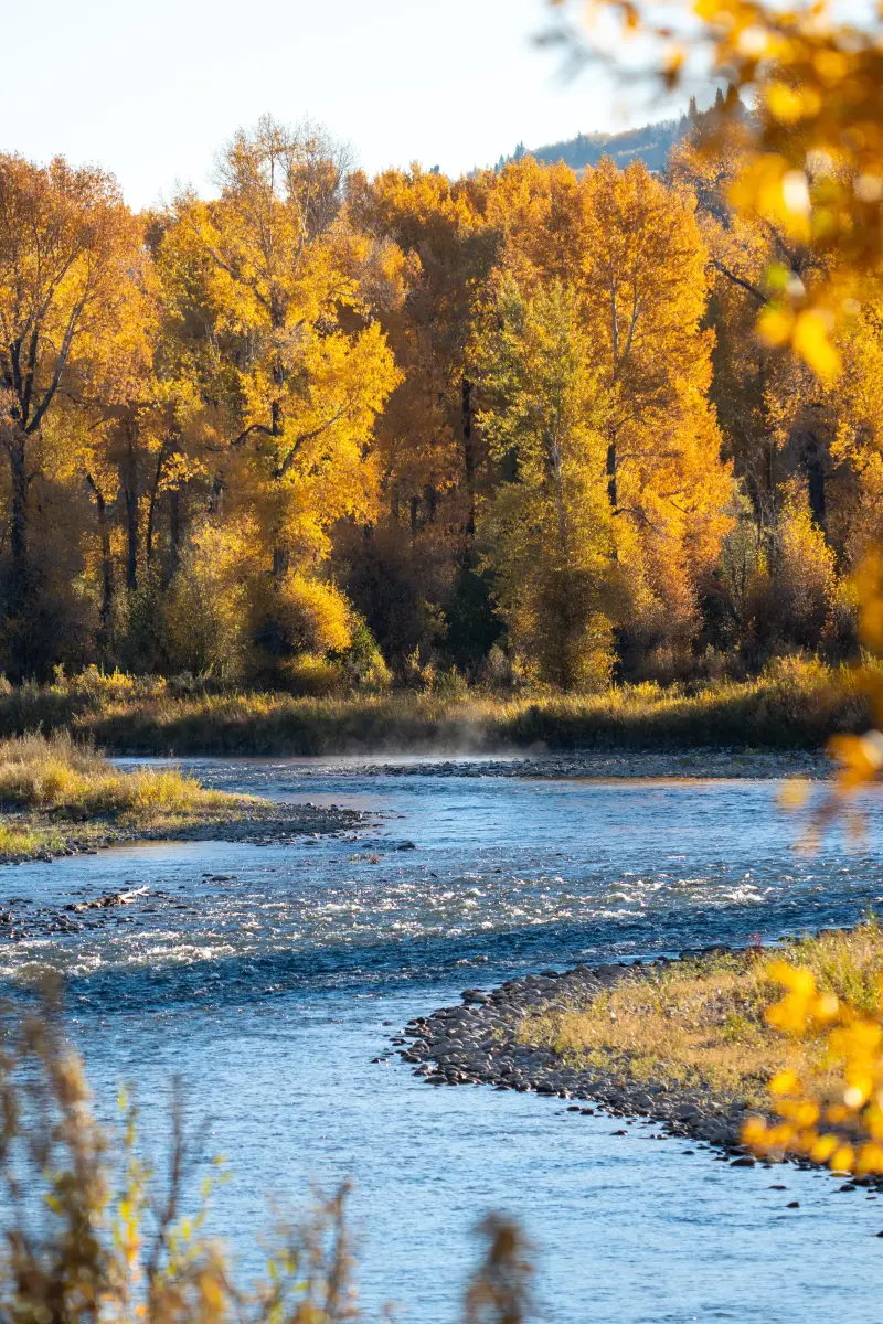 Gros Ventre River